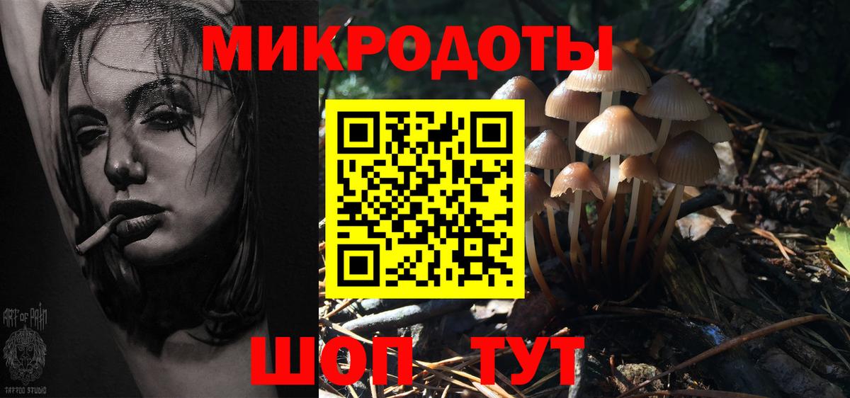 Псилоцибиновые грибы Psilocybine cubensis  Вход с VPN  Славгород 